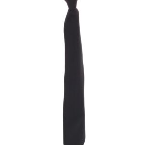 Clip-On Security Tie