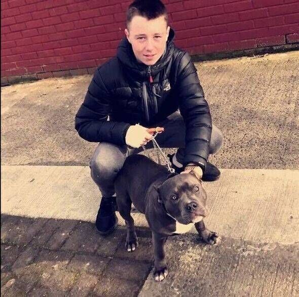 Read more about the article Teen’s harrowing final message to his mum before he was tortured and hacked to death